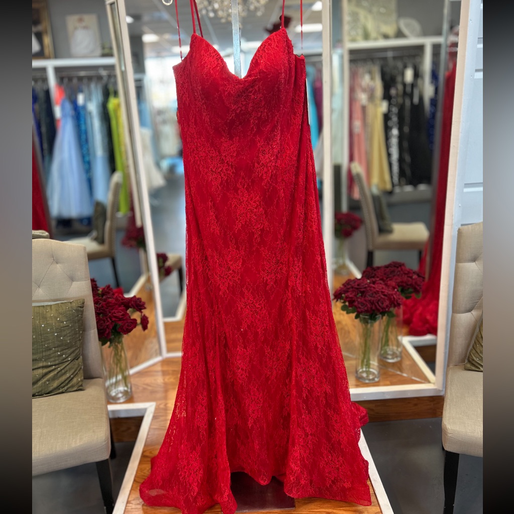 Red Lace Formal Gown Size 22